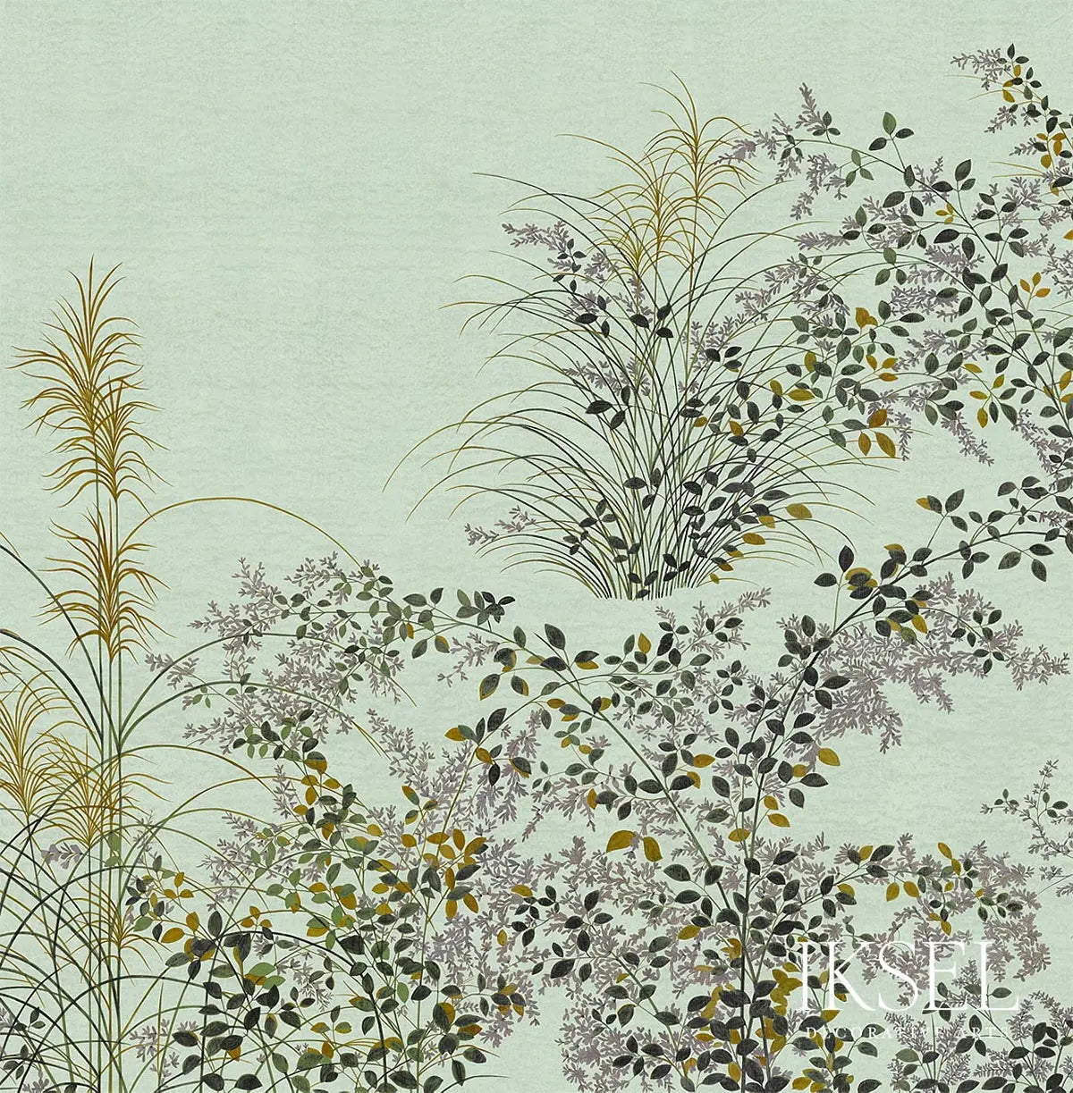 JAPANESE-MEADOW-CELERY-SCHUMACHER-IK8201