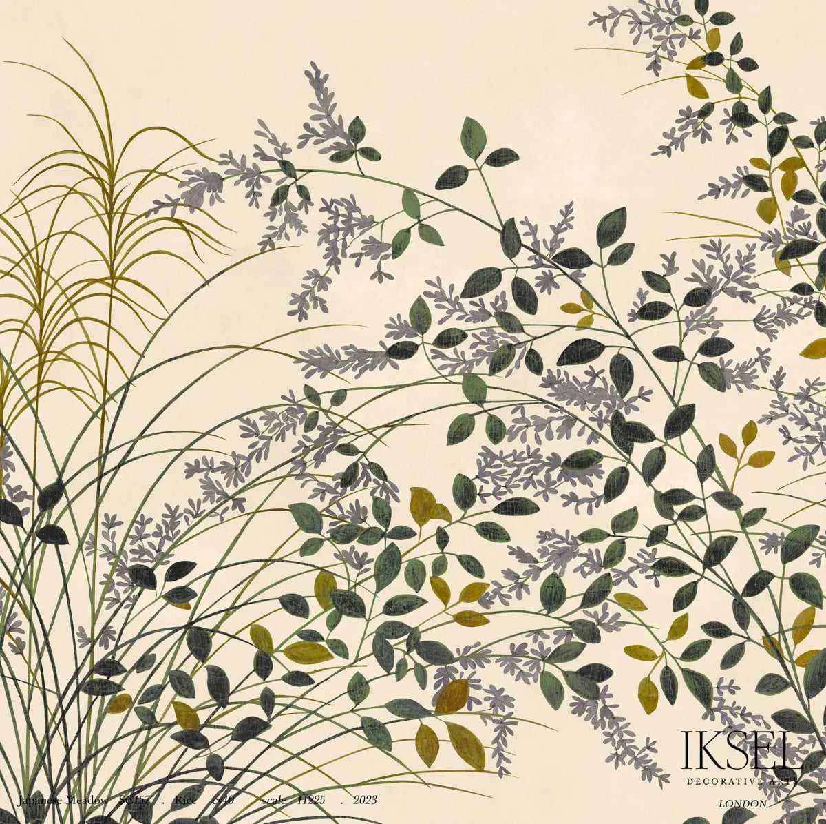 JAPANESE-MEADOW-RICE-SCHUMACHER-IK8202