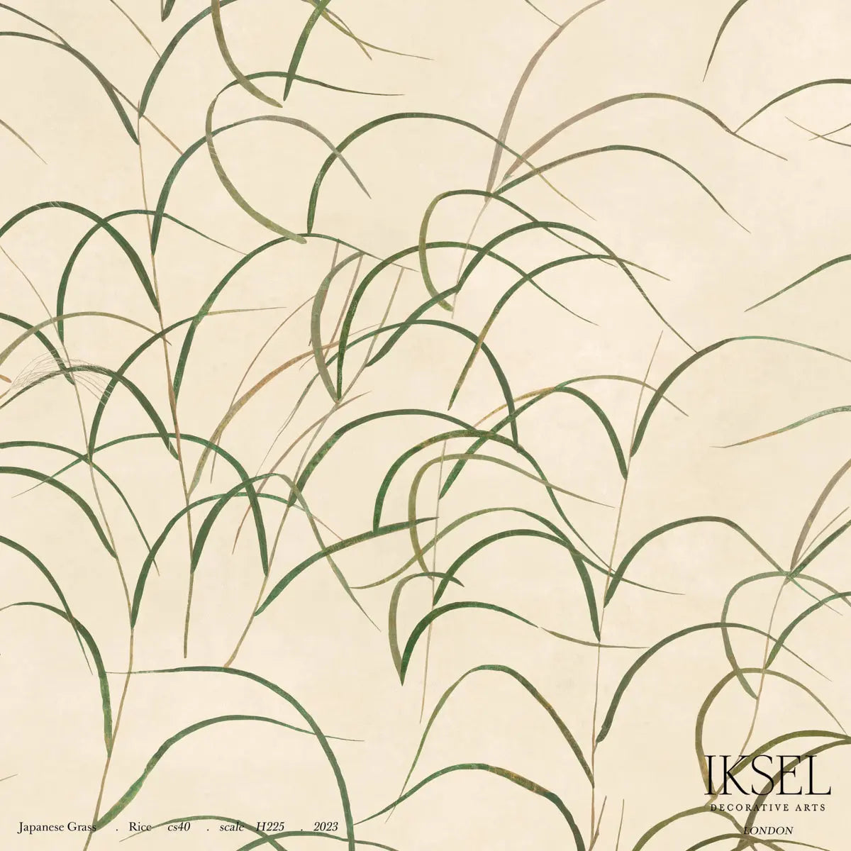 JAPANESE-GRASS-RICE-SCHUMACHER-IK8300