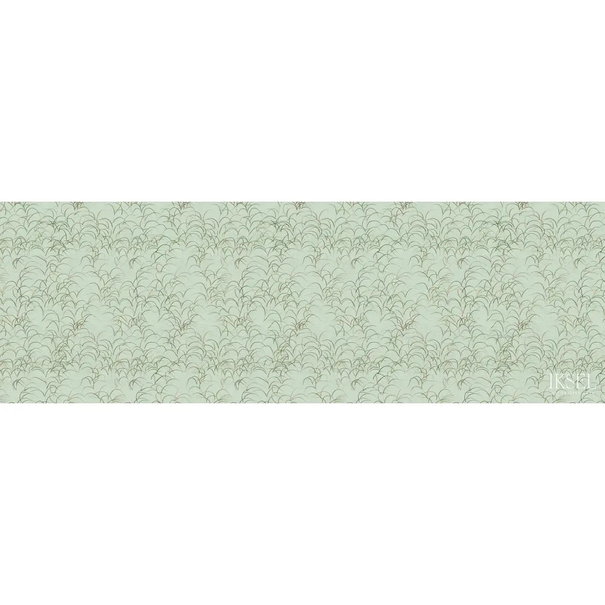 JAPANESE-GRASS-CELERY-SCHUMACHER-IK8301