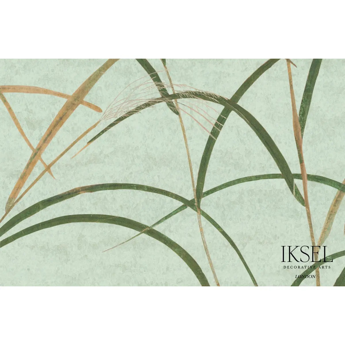 JAPANESE-GRASS-CELERY-SCHUMACHER-IK8301