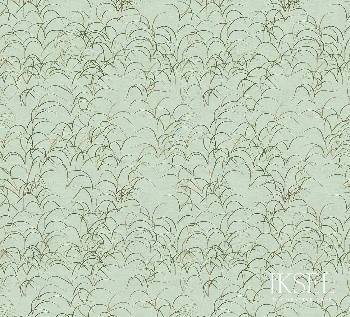 JAPANESE-GRASS-CELERY-SCHUMACHER-IK8301