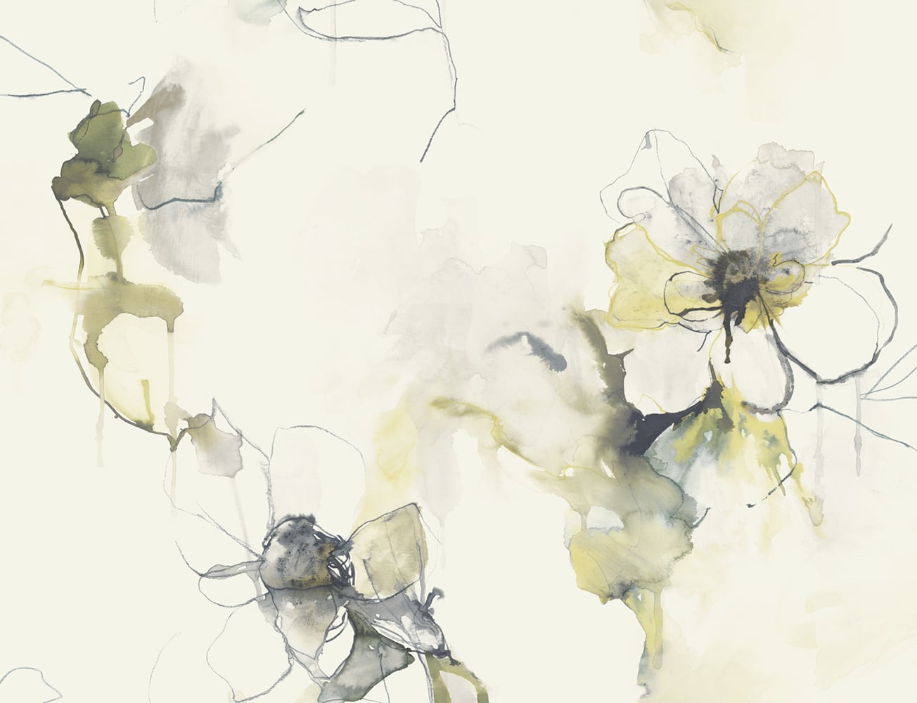 Seabrook Designs LW50007 Living with Art Anemone Watercolor Floral  Wallpaper Dark Ash and Canary