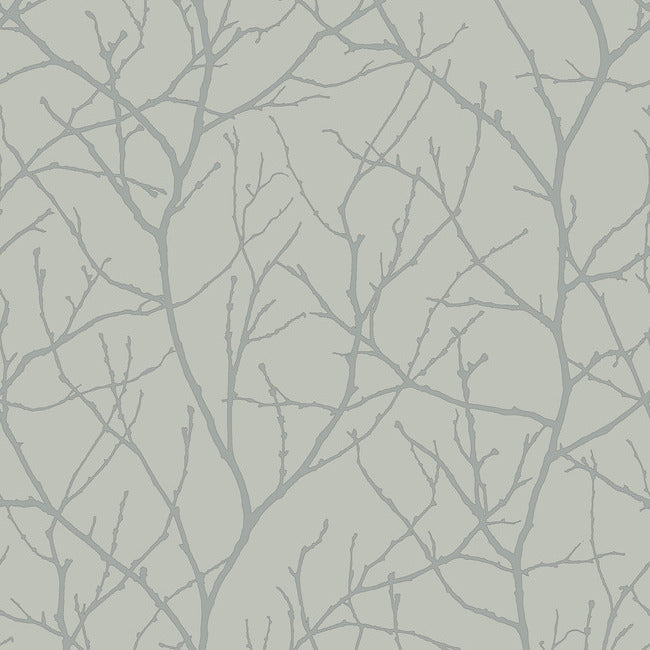 trees-silhouette-wallpaper-eucalyptus-silver-york-wallcoverings-md7124