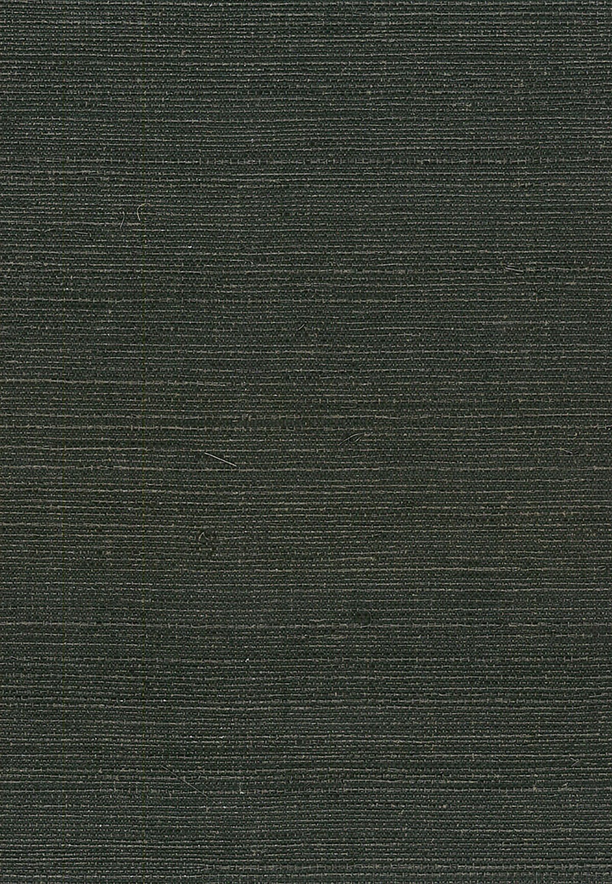 Seabrook Designs NA214 Natural Resource Sisal Grasscloth  Wallpaper Black