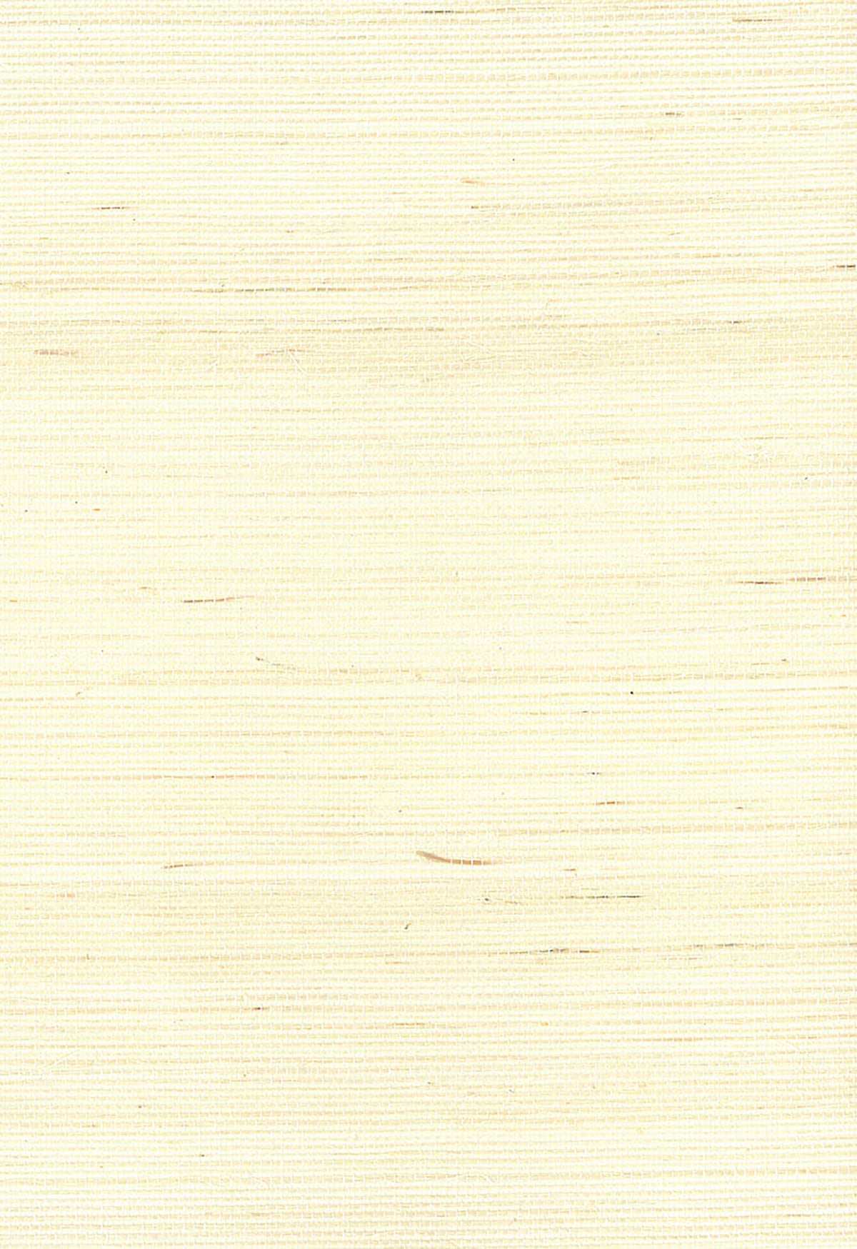 Seabrook Designs NA218 Natural Resource Sisal Grasscloth  Wallpaper Off-White