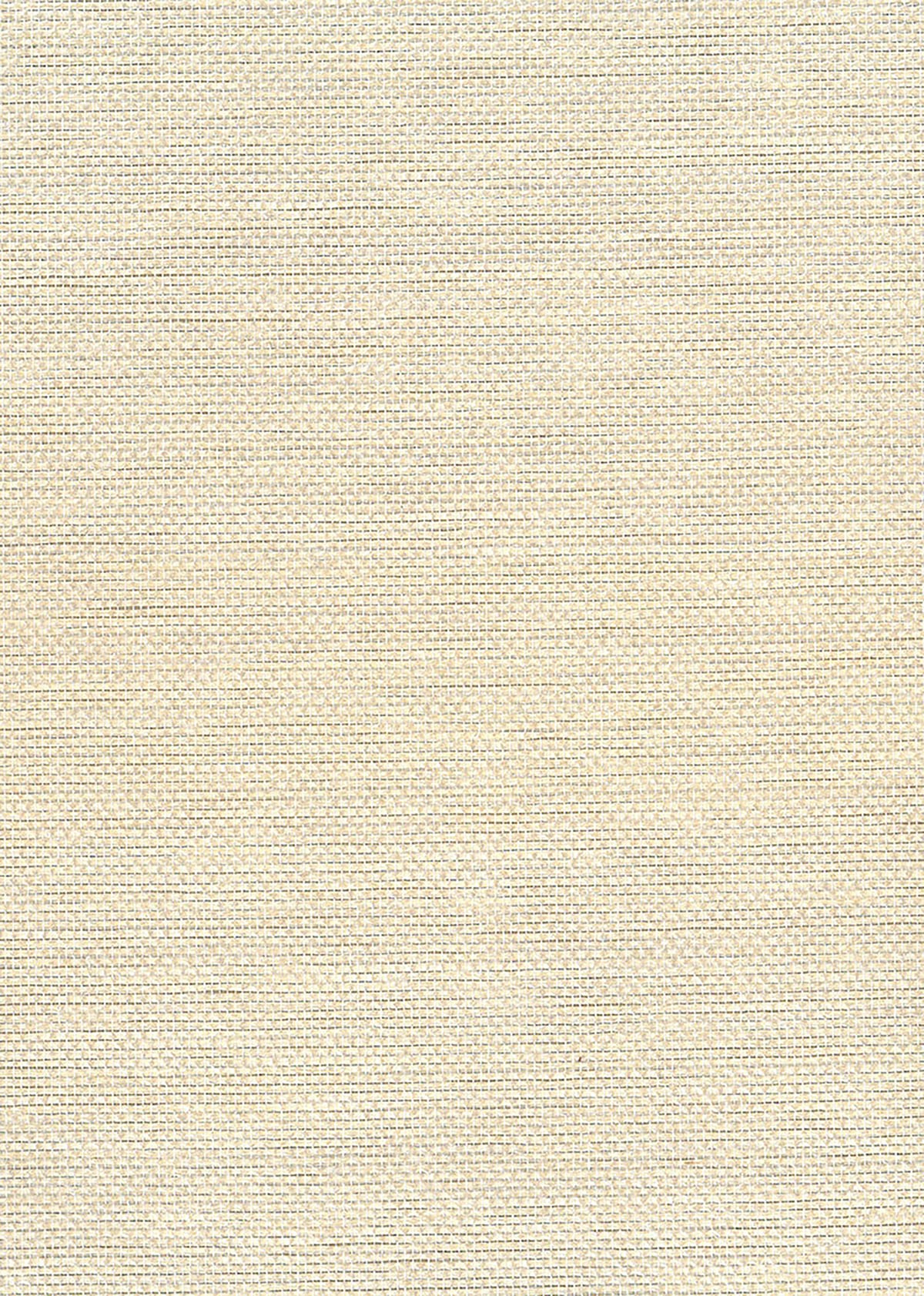 Seabrook Designs NA509 Natural Resource Paperweave Grasscloth  Wallpaper Metallic Silver, Off White