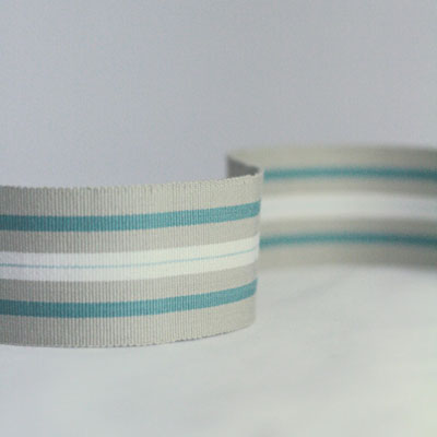 woodsford-narrow-woven-border-aqua-nina-campbell-nct504-01