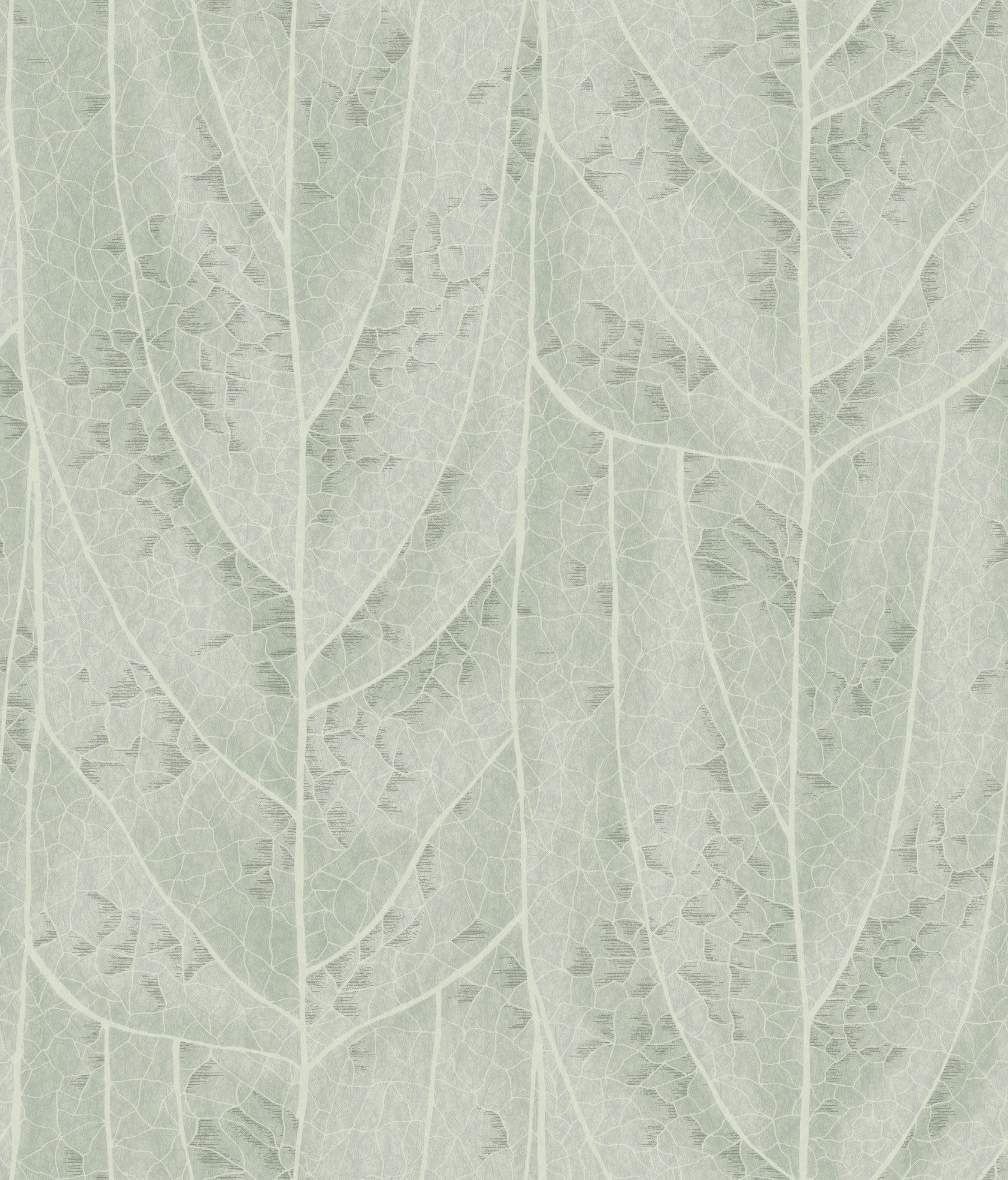 dicot-spa-leaf-wallpaper-spa-york-wallcoverings-nt6141