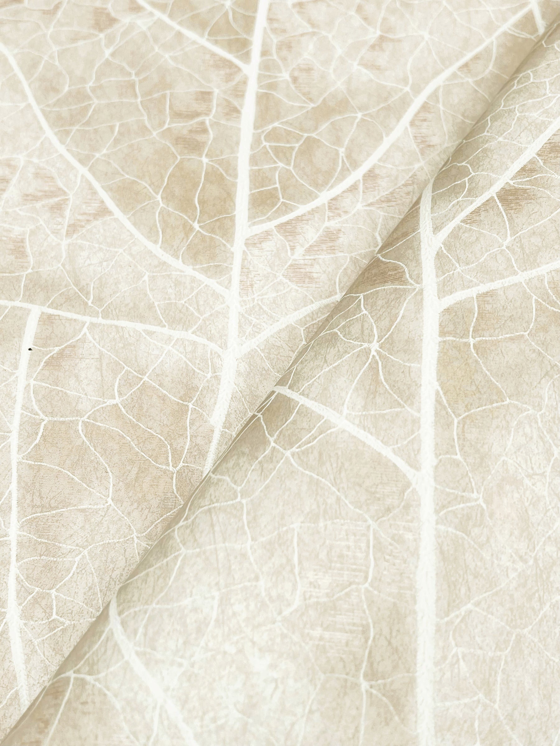 dicot-spa-leaf-wallpaper-beige-york-wallcoverings-nt6144