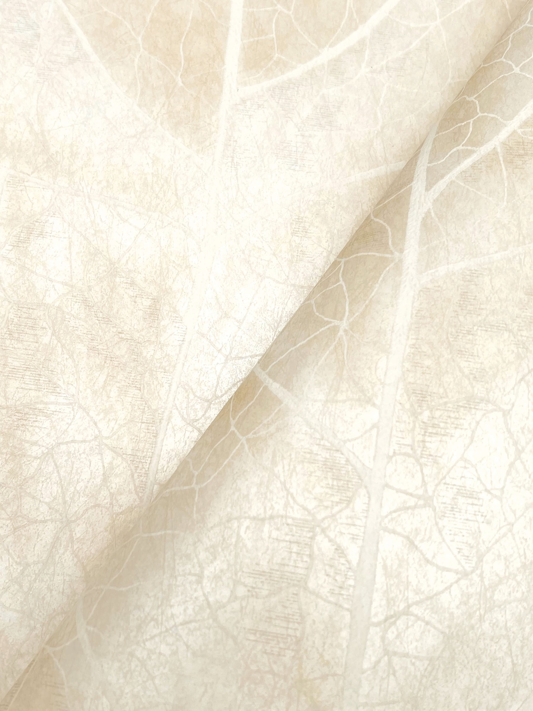 dicot-spa-leaf-wallpaper-pearl-york-wallcoverings-nt6145