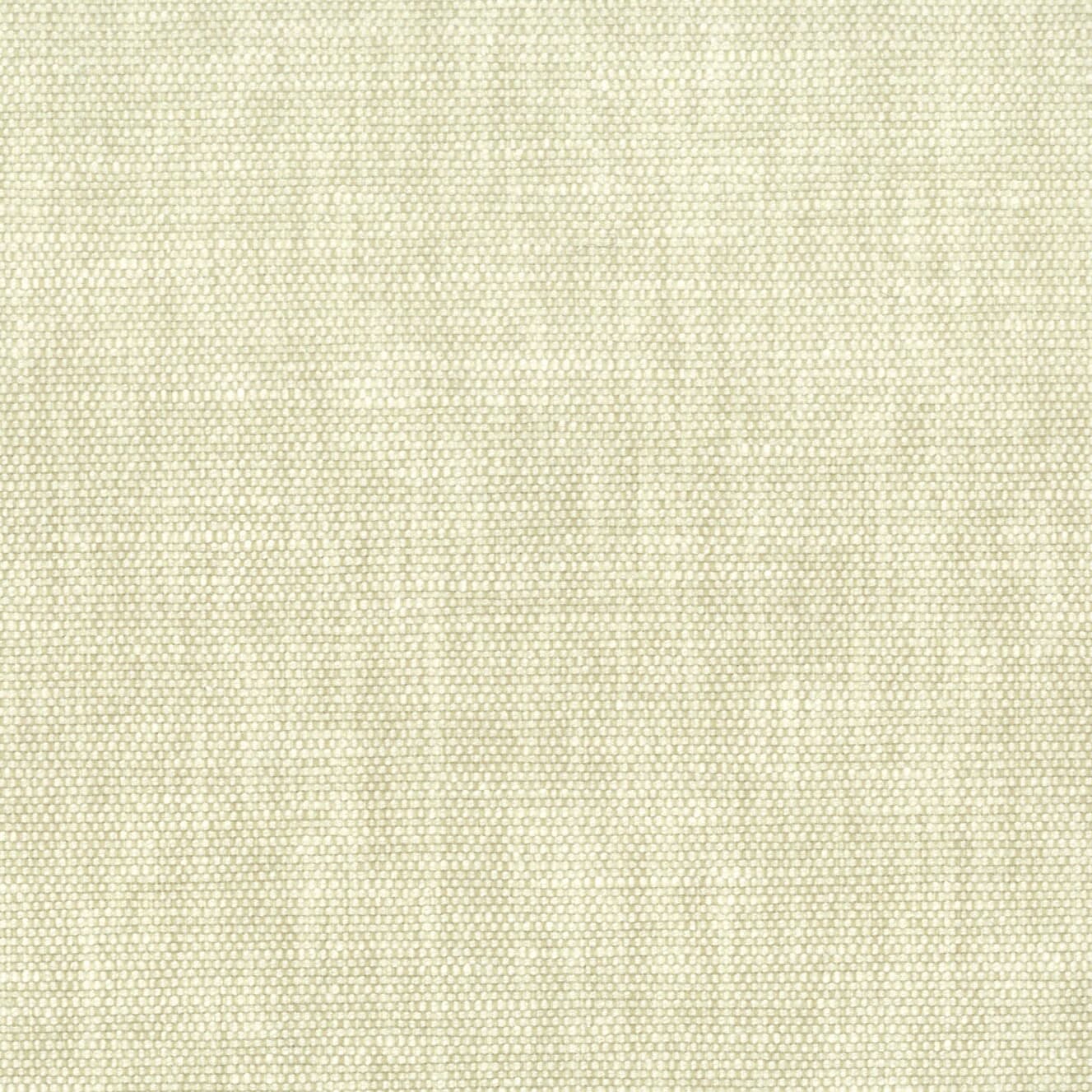 Orwin 23 Champagne by Stout Fabric