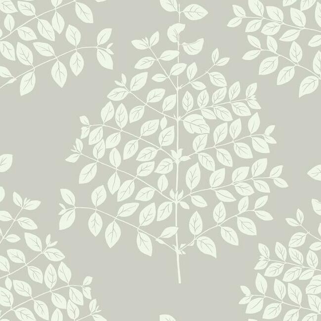 tender-wallpaper-pearl-grey-york-wallcoverings-os4252