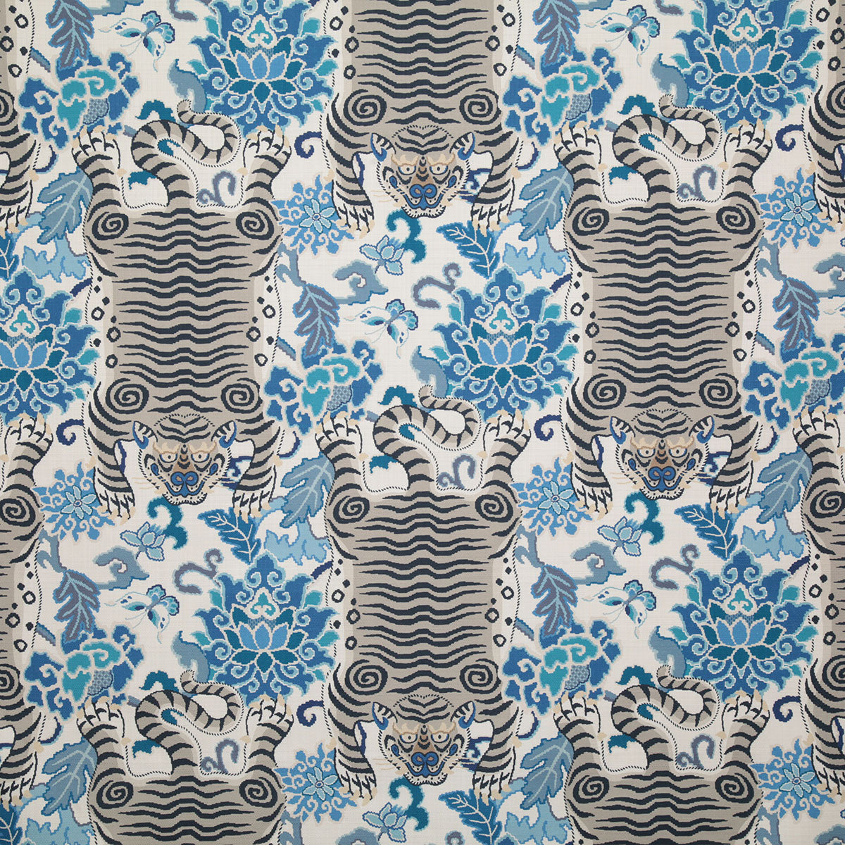 p6469-tigre-cobalt-pindler