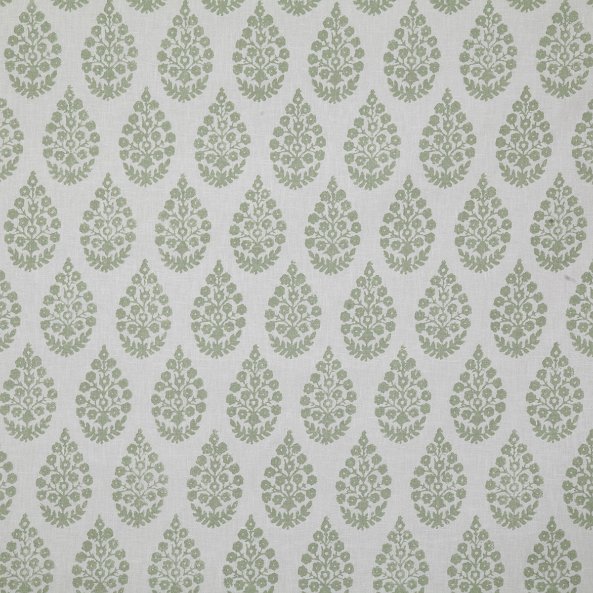 p6538-charu-celadon-pindler