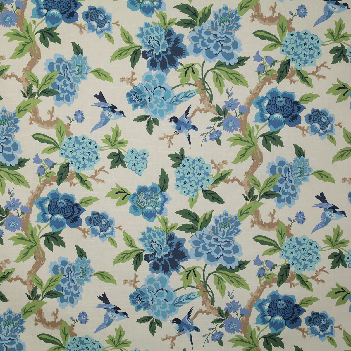 p6690-alice-bluebell-pindler