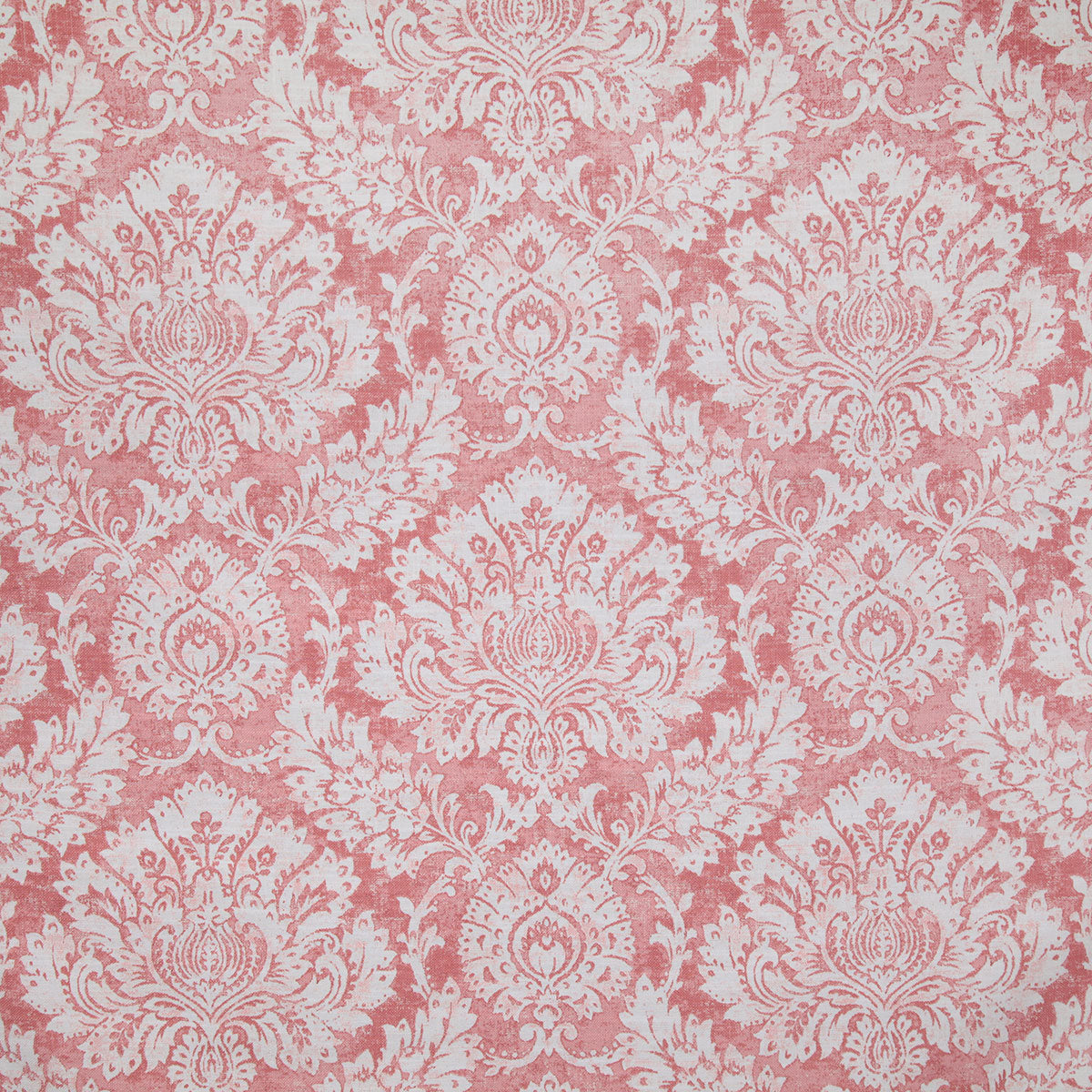 p6784-capella-coral-pindler