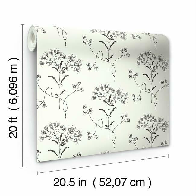 wildflower-premium-peel-stick-wallpaper-black-on-white-york-wallcoverings-psw1153rl