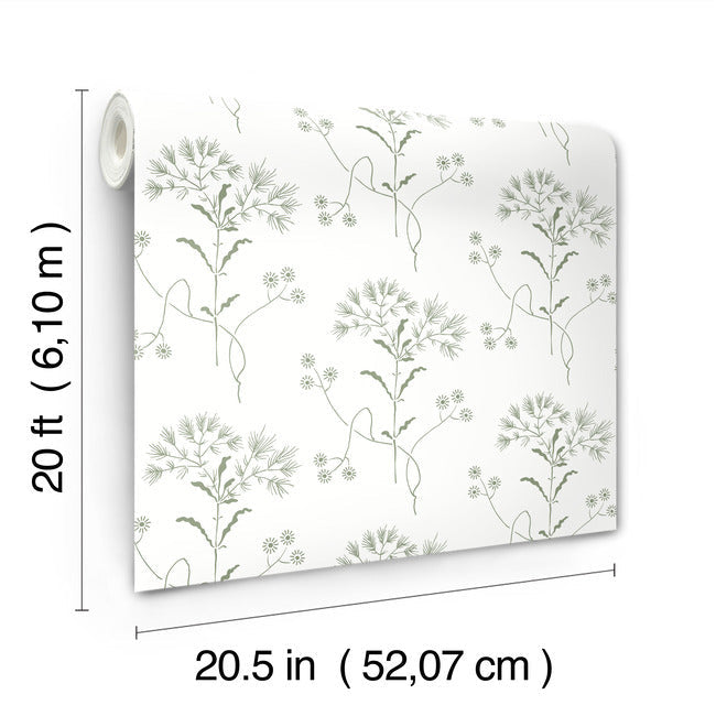 wildflower-premium-peel-stick-wallpaper-green-york-wallcoverings-psw1503rl