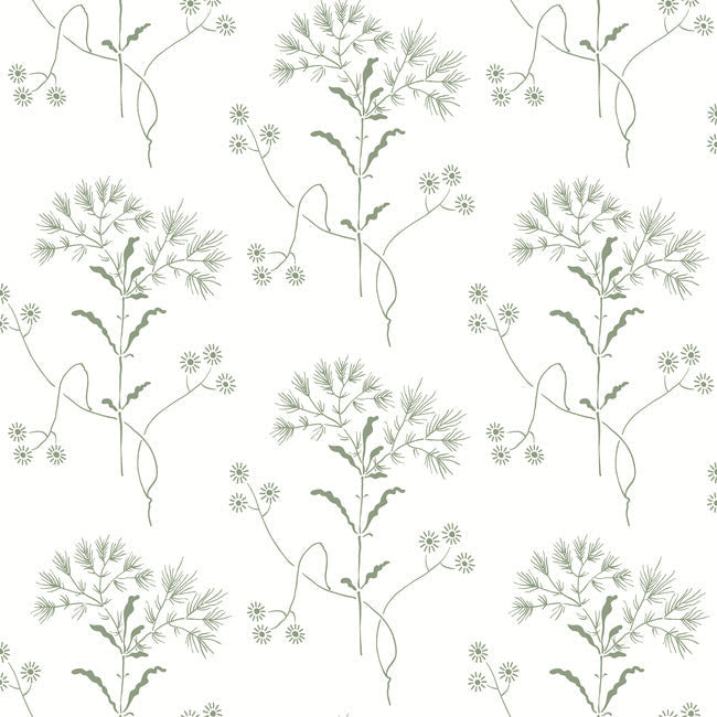 wildflower-premium-peel-stick-wallpaper-green-york-wallcoverings-psw1503rl