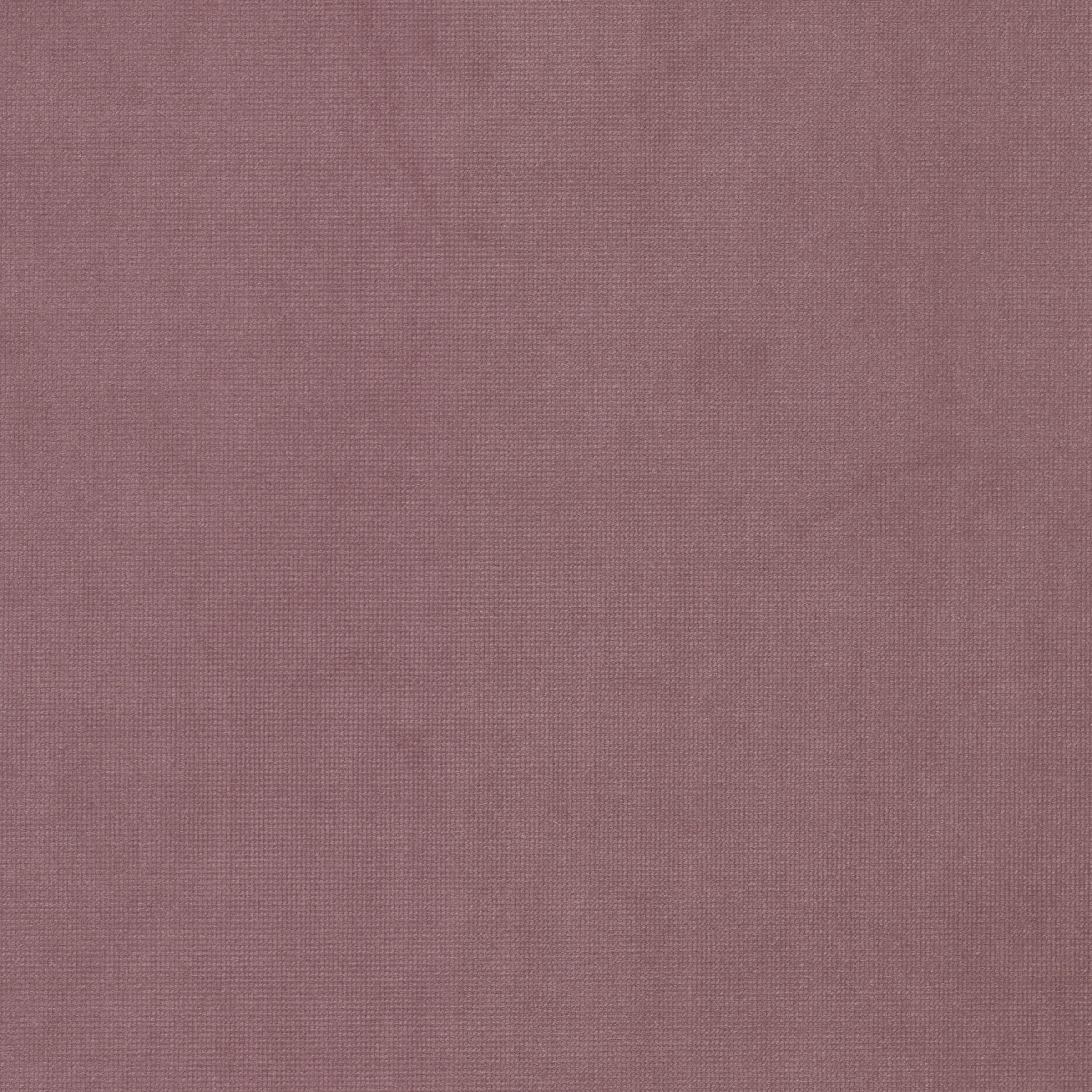 Queen 17 Fuchsia by Stout Fabric