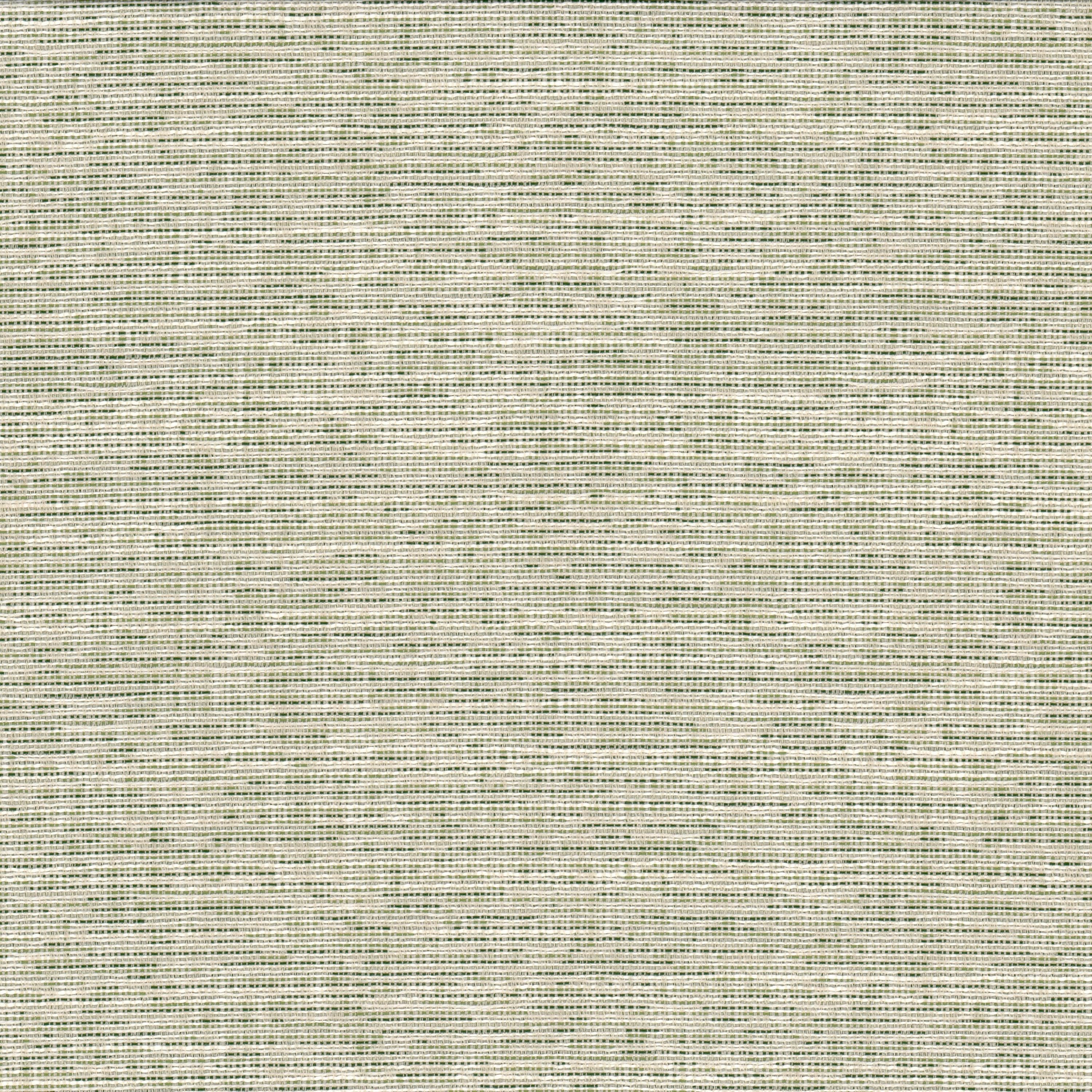 Record 1 Grass by Stout Fabric