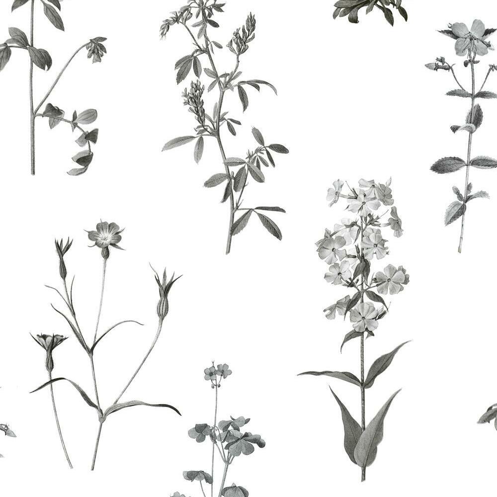 Botanical Peel and Stick Wallpaper - White - York Wallcoverings - RMK11645RL