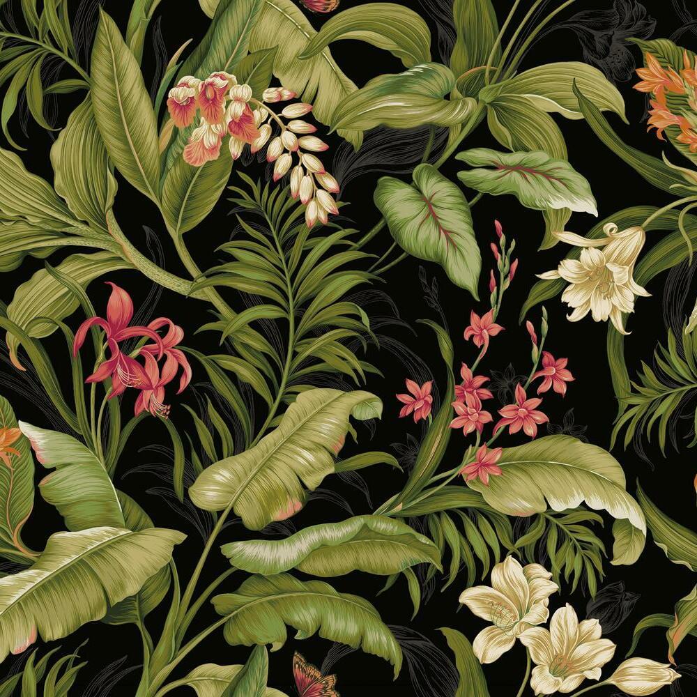 waverly-wailea-coast-peel-and-stick-wallpaper-black-york-wallcoverings-rmk11894rl