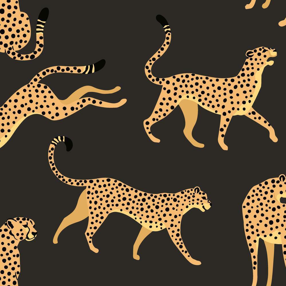 Cheetah Cheetah Peel & Stick Wallpaper - Black - York Wallcoverings - RMK11986RL