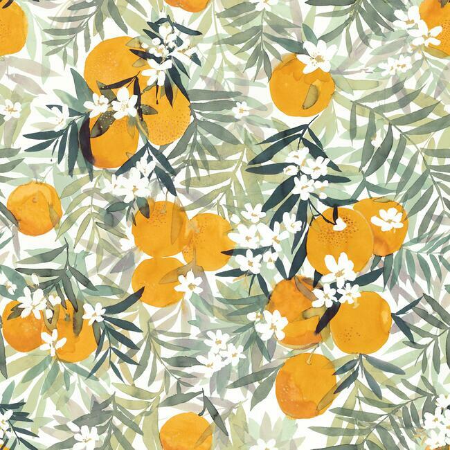 Orange Blossom Peel & Stick Wallpaper - Orange/Yellow/Green - York Wallcoverings - RMK12199RL