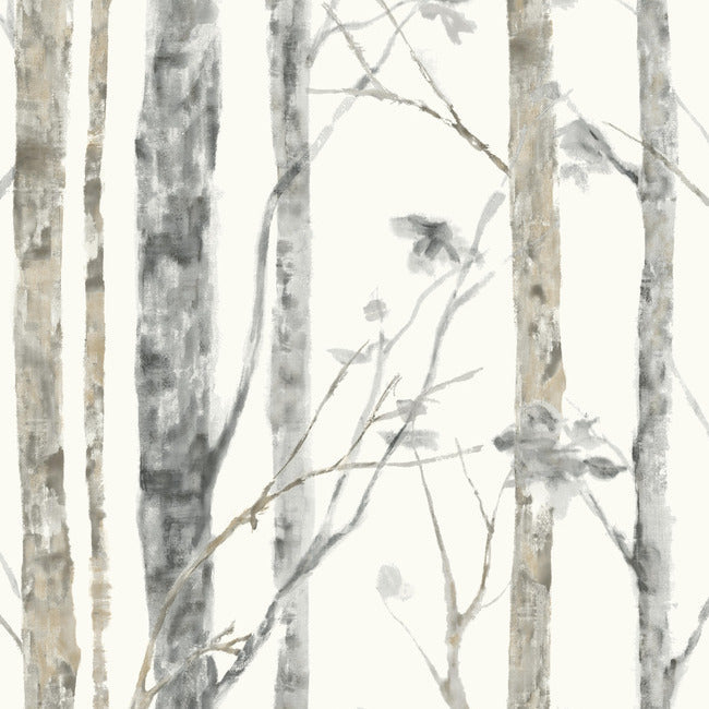 Birch Trees Peel and Stick Wallpaper - York Wallcoverings - RMK9047WP