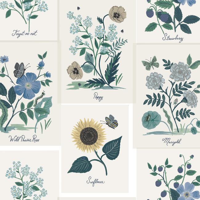 botanical-prints-wallpaper-indigo-york-wallcoverings-rp7335