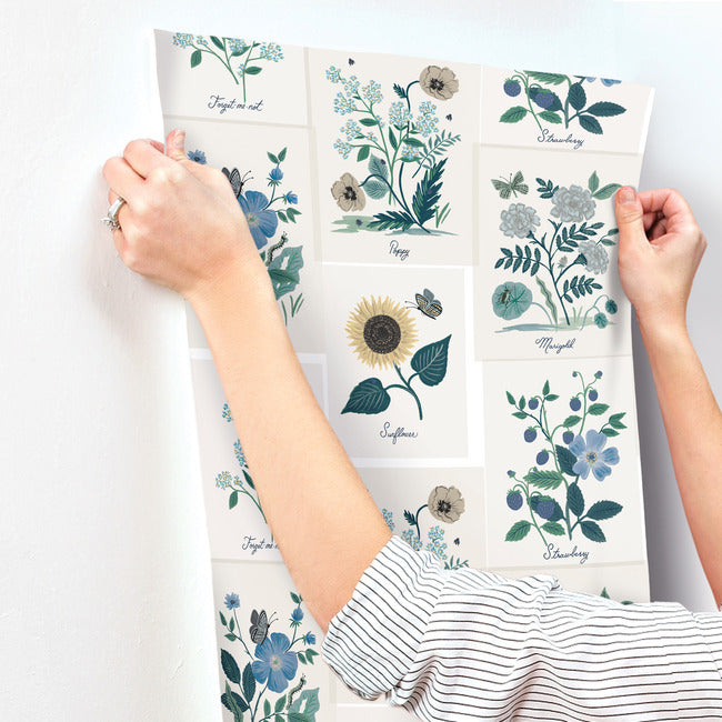 botanical-prints-wallpaper-indigo-york-wallcoverings-rp7335