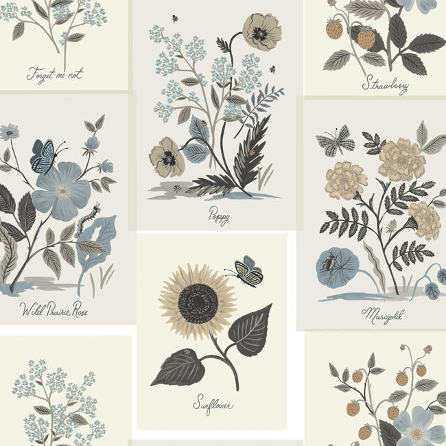 botanical-prints-wallpaper-linen-york-wallcoverings-rp7336