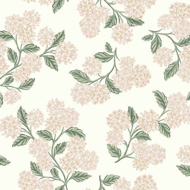 Hydrangea Wallpaper - White & Blush - York Wallcoverings - RP7393