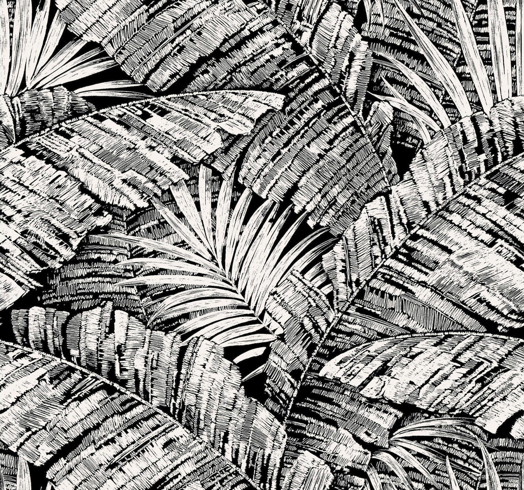 palm-cove-toile-wallpaper-white-black-york-wallcoverings-rt7921