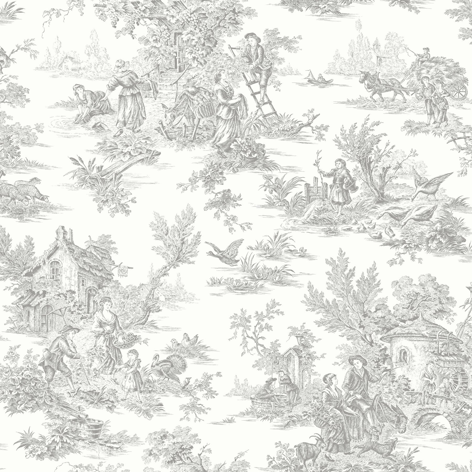 campagne-toile-wallpaper-grey-york-wallcoverings-rt7940