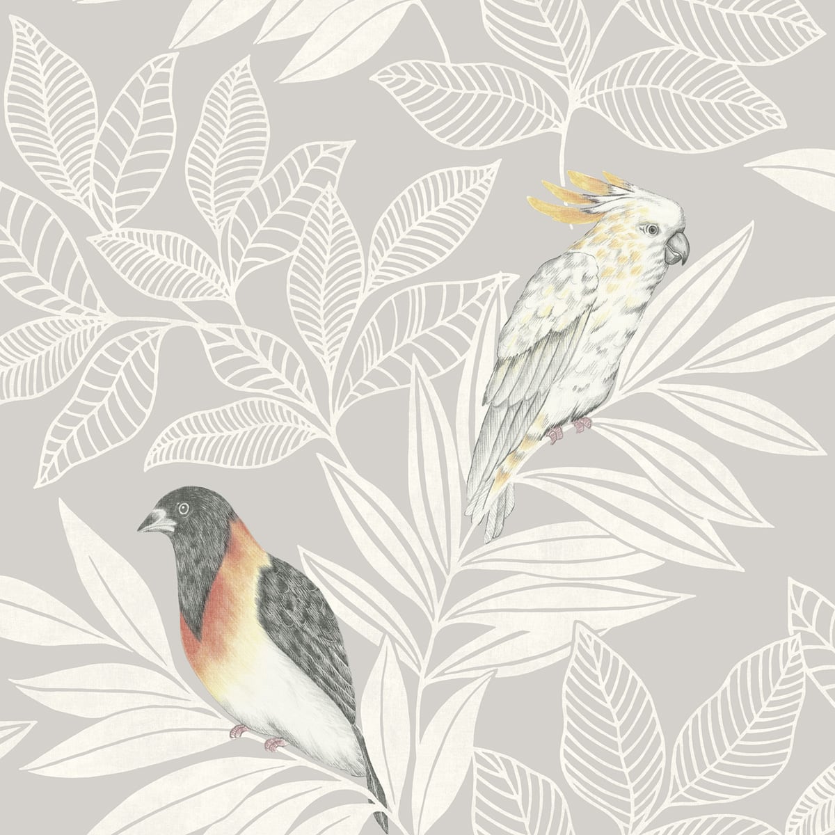Seabrook Designs RY30100 Boho Rhapsody Paradise Island Birds  Wallpaper Daydream Gray and Ivory
