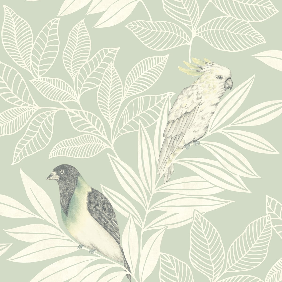 Seabrook Designs RY30104 Boho Rhapsody Paradise Island Birds  Wallpaper Mint and Ivory