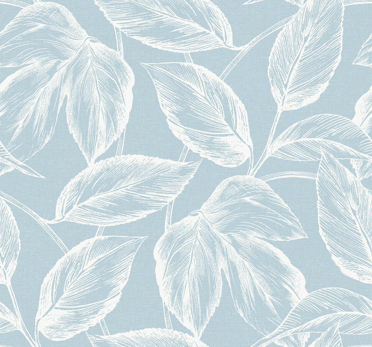 Seabrook Designs SC20022 Summer House Beckett Sketched Leaves  Wallpaper Baby Blue