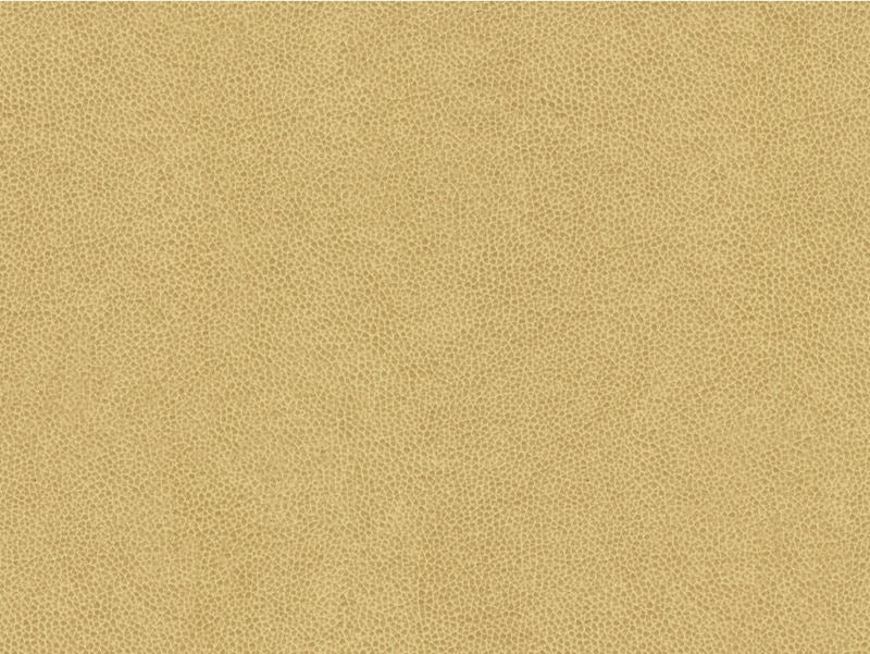 Kravet Contract Fabric ABILENE.16 Abilene Dune