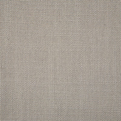 Pindler Fabric BRI078-GY13 Brian Platinum