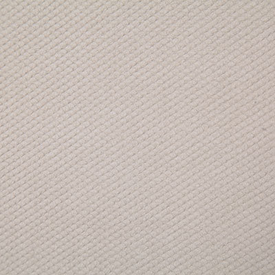 Pindler Fabric BRI084-BG01 Brightside Shell