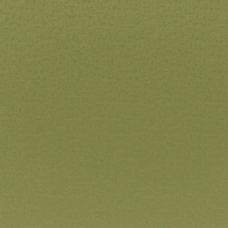 Maxwell Fabric CGK741 Cadenza Grass