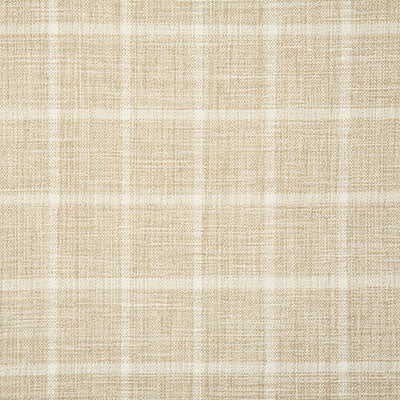 Pindler Fabric DUM012-BG06 Dumas Cashmere