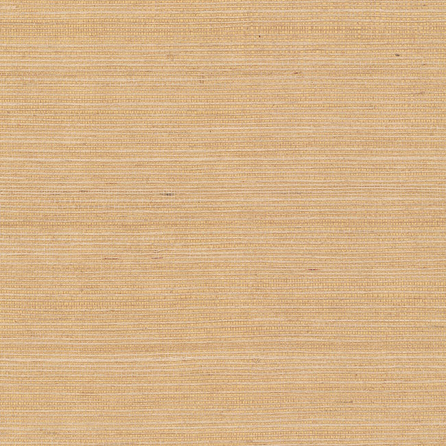 York Wallpaper GV0103NW Maguey Sisal