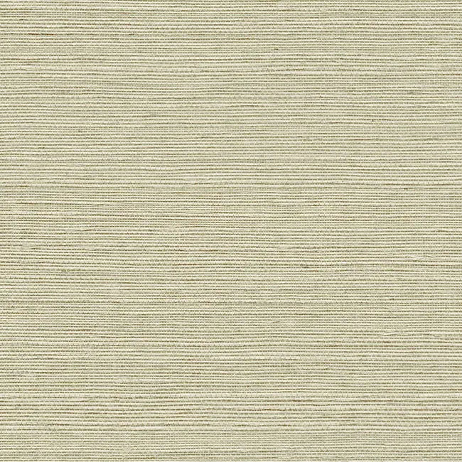 York Wallpaper GV0143NW Maguey Sisal