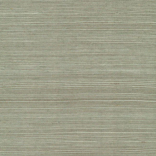 York Wallpaper GV0144NW Maguey Sisal