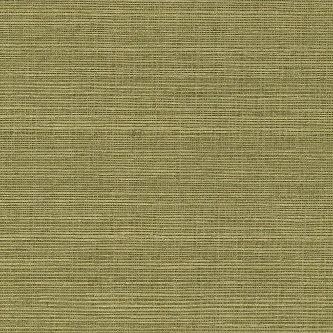 York Wallpaper GV0145NW Maguey Sisal