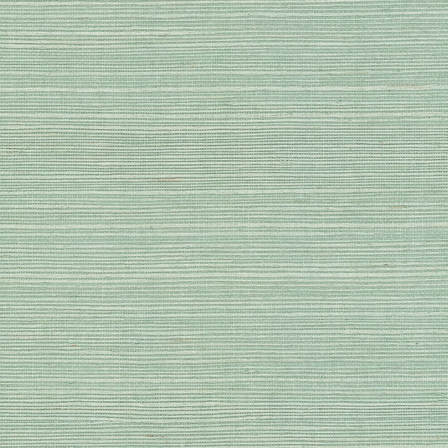 York Wallpaper GV0150NW Maguey Sisal